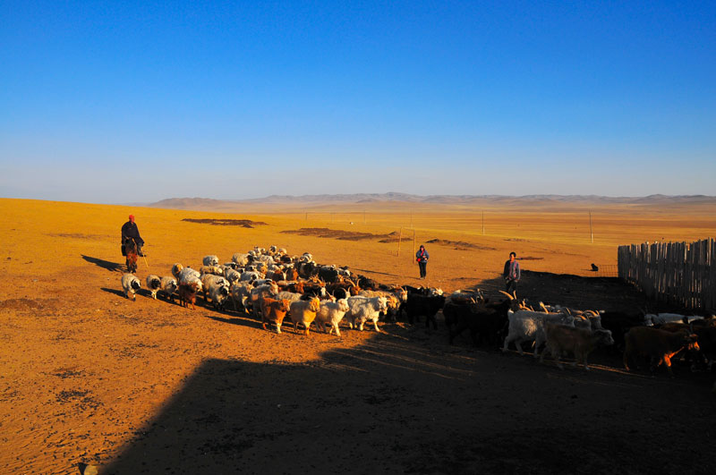Mongolia